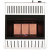 Remington 15000-BTU Wall or Floor-Mount Liquid Propane Vent-Free Infrared Heater REM-R150LM-F