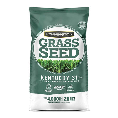 Pennington Kentucky 31 Tall Fescue Grass Seed