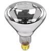 Heat Lamp, R40, 125-Watts