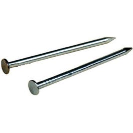 1/2-In. x 19 Galvanized Wire Nails, 1-1/2 oz.