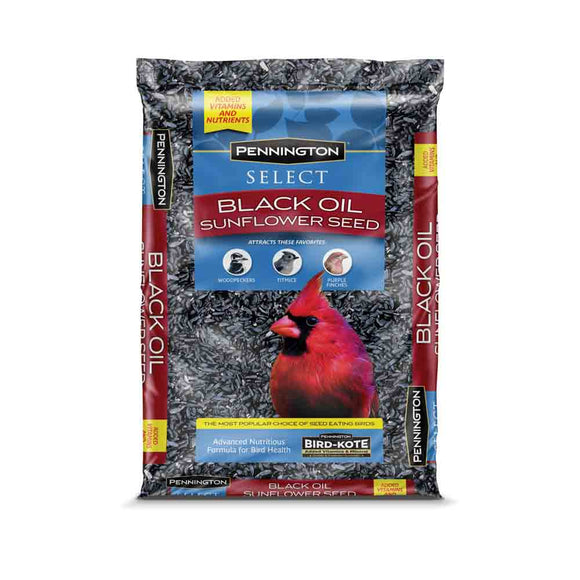 Pennington Select Black Oil Sunflower Seed 10 lbs