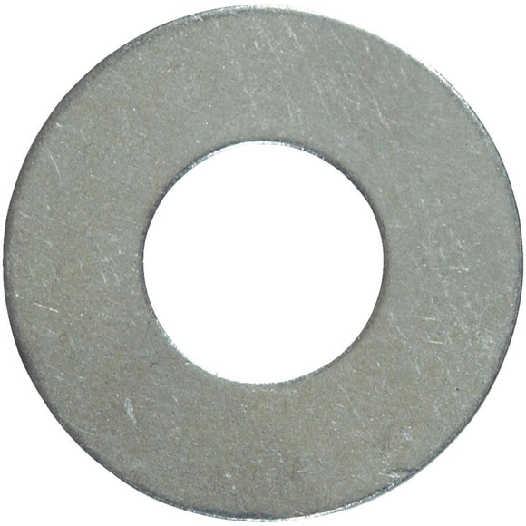 Hillman 5/16 In. Stainless Steel Flat Washer (100 Ct.)